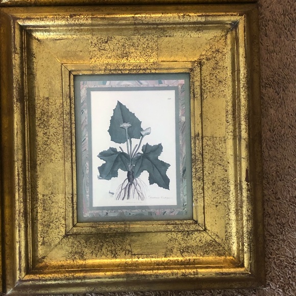 Pictures - Picture 3 of 5